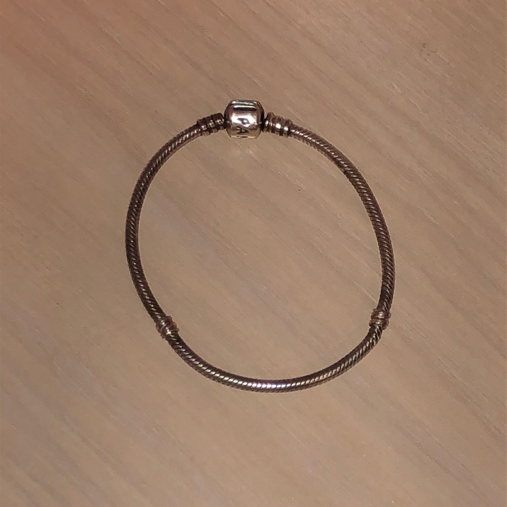 Pandora Moments Snake Chain Bracelet